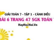 Giải bài 6 trang 47 Toán 7 Tập 1 SGK Cánh Diều